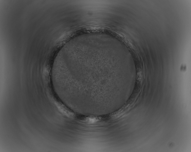 X0000094440662200711211457