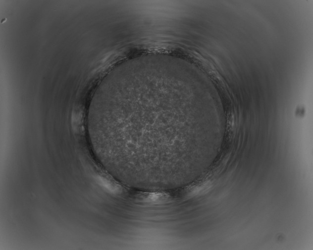 X0000094440663200711211457