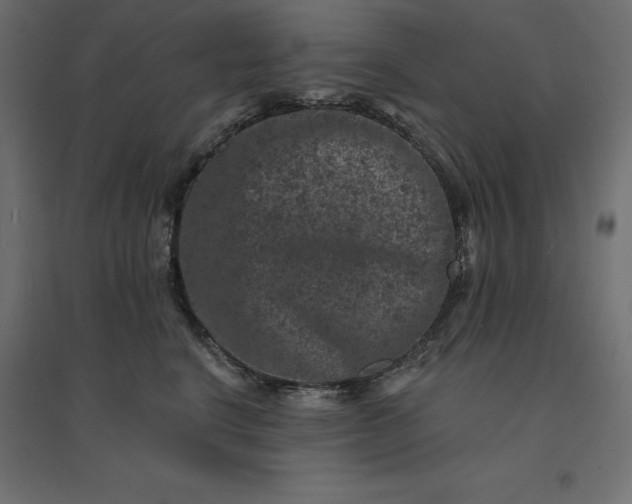 X0000094440664200711211457