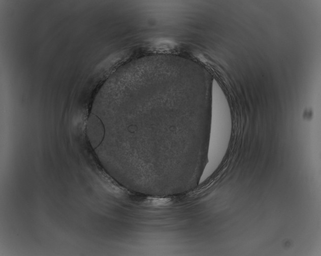 X0000094440665200711211457