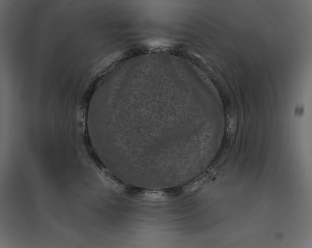 X0000094440666200711211457