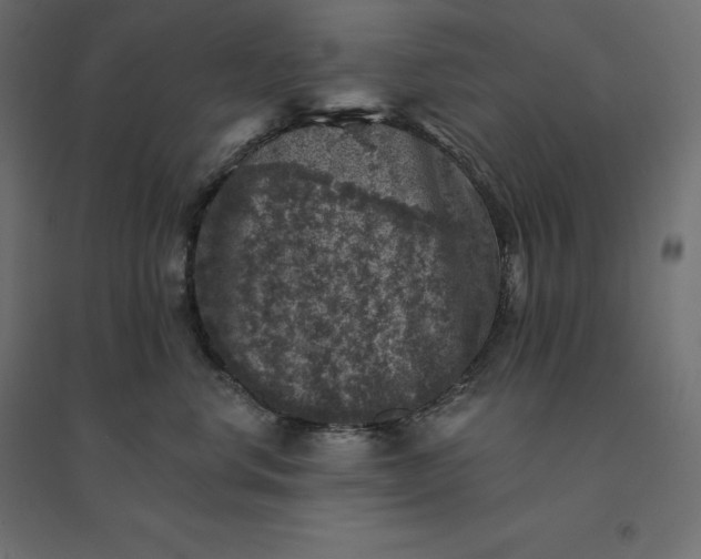 X0000094440668200711211457