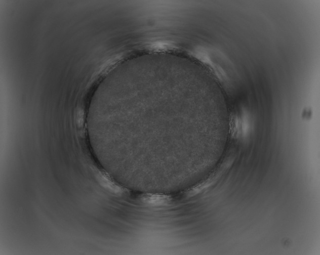 X0000094440670200711211457