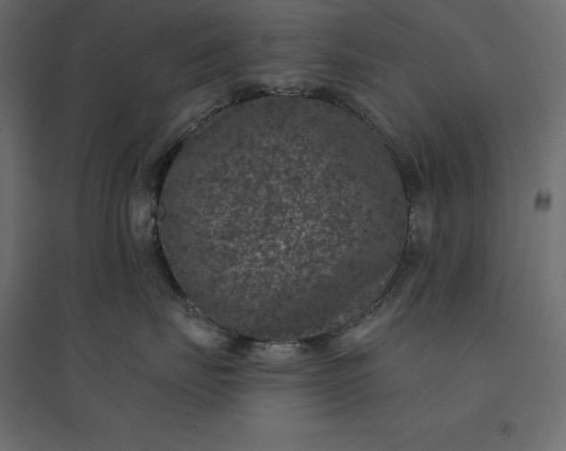 X0000094440671200711211457