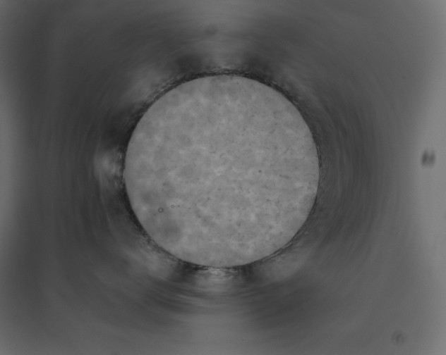 X0000094440672200711211457