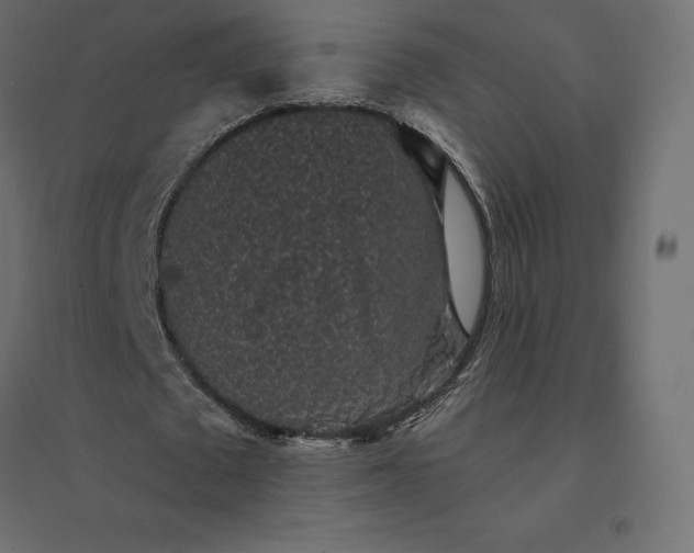 X0000094440673200711211456