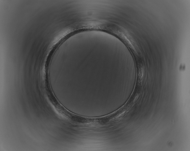 X0000094440674200711211456