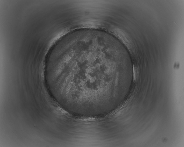 X0000094440675200711211456