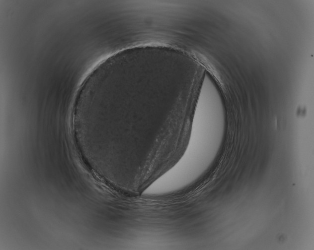 X0000094440676200711211456