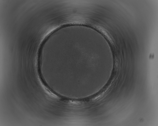 X0000094440677200711211456