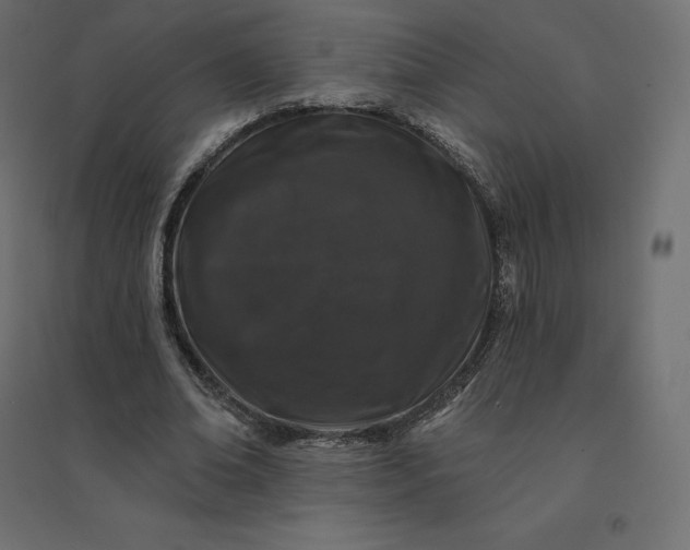 X0000094440678200711211456