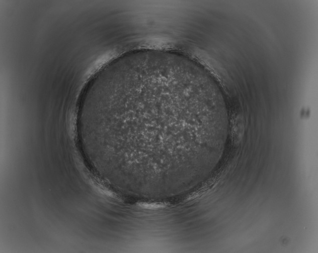 X0000094440679200711211456