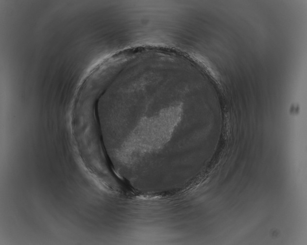 X0000094440680200711211456