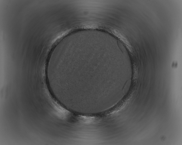 X0000094440681200711211456