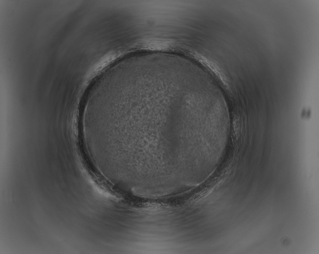 X0000094440682200711211456