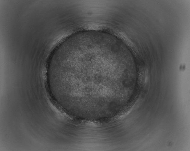 X0000094440683200711211456