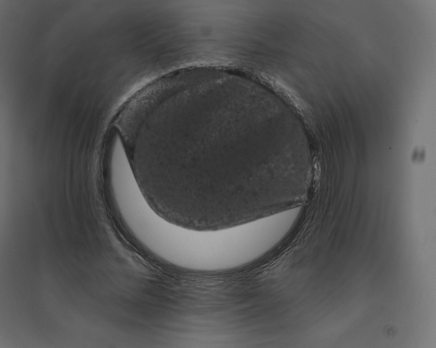 X0000094440684200711211456