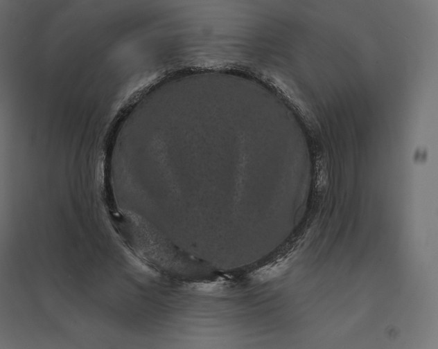 X0000094440685200711211456