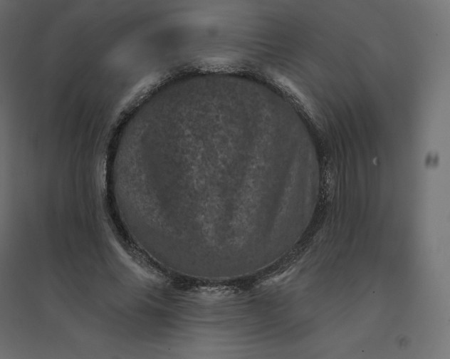 X0000094440686200711211456