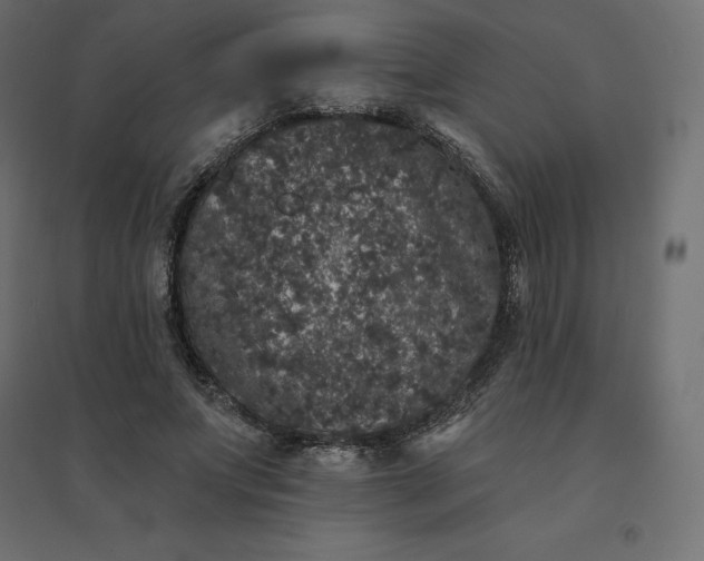 X0000094440687200711211456