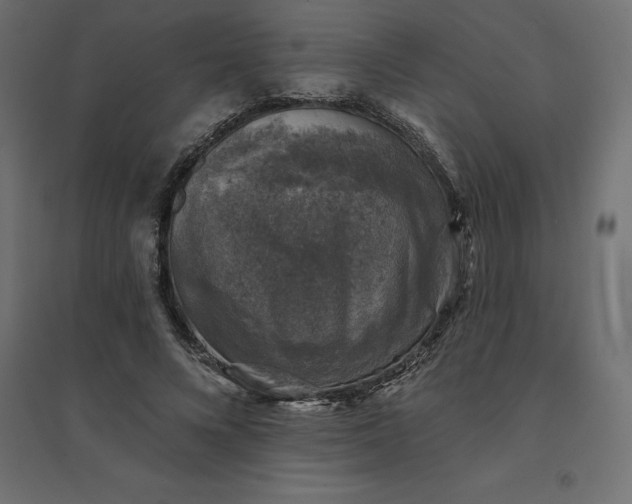 X0000094440688200711211456