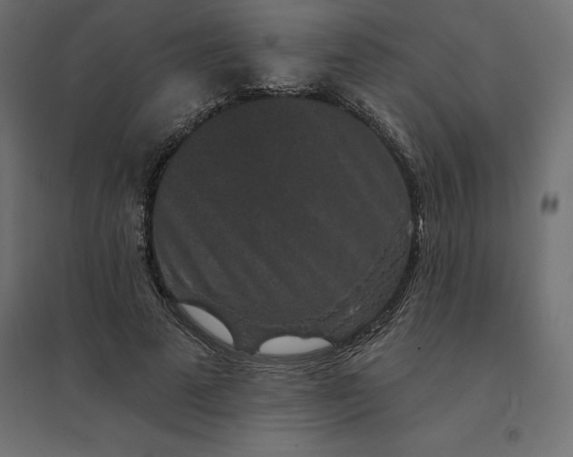 X0000094440689200711211456