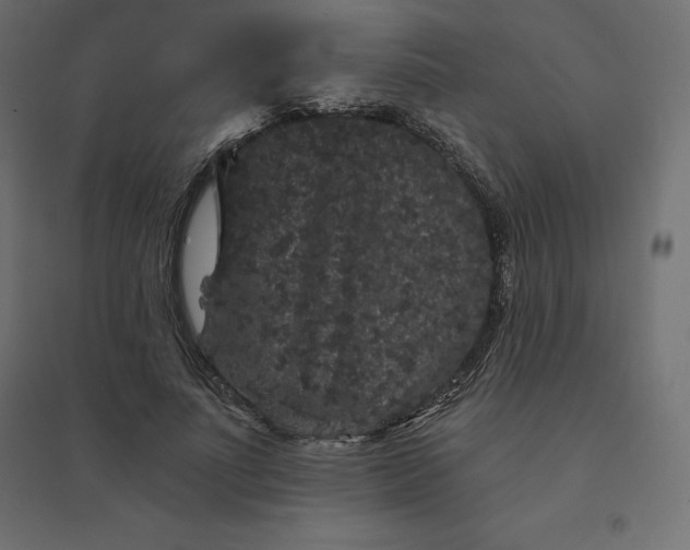 X0000094440691200711211456