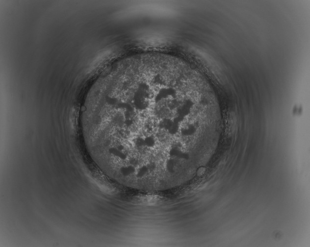 X0000094440695200711211456