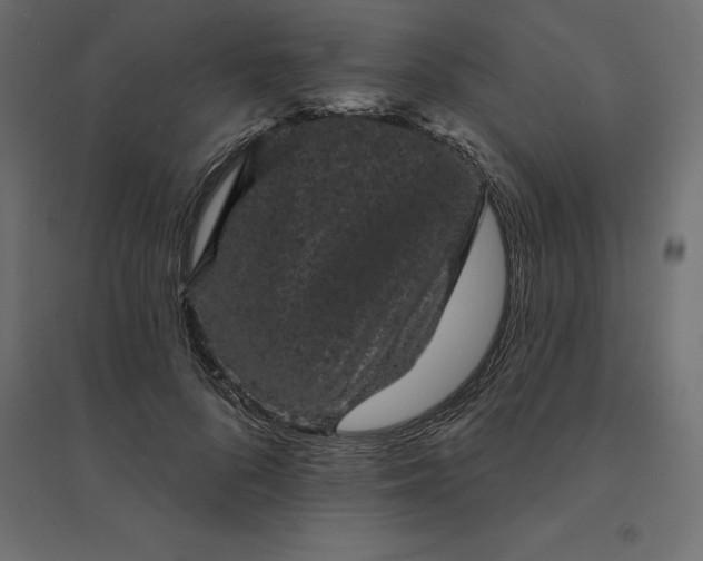 X0000094440696200711211456