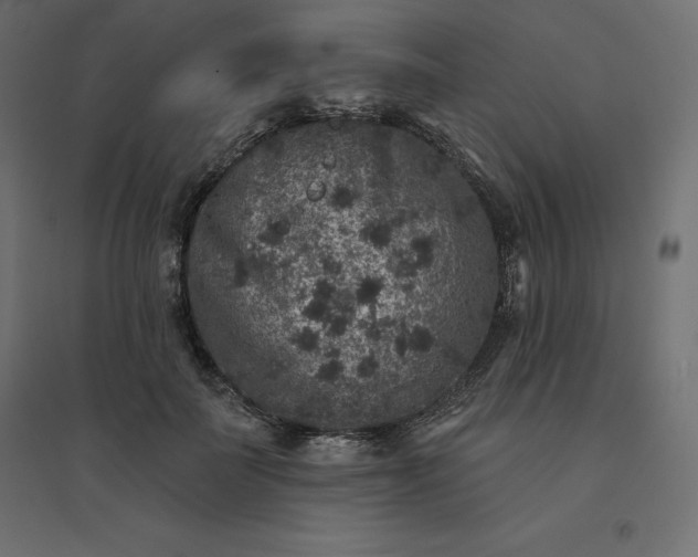 X0000094440699200711211456