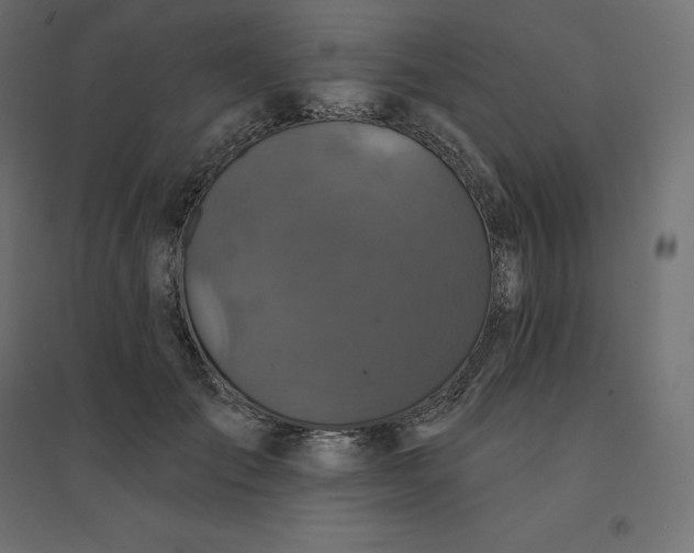 X0000094440701200711211456