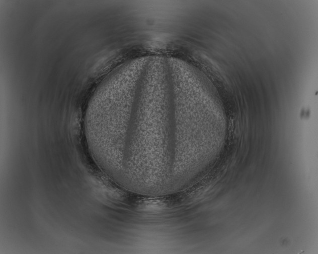 X0000094440702200711211456