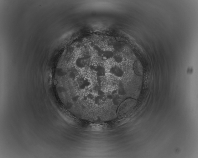 X0000094440703200711211456