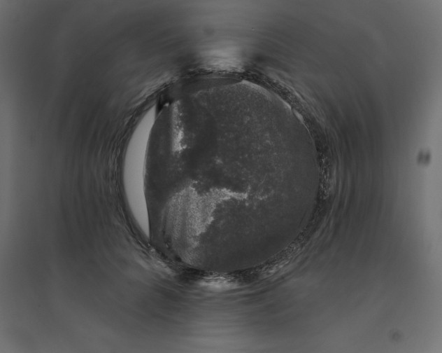 X0000094440704200711211456