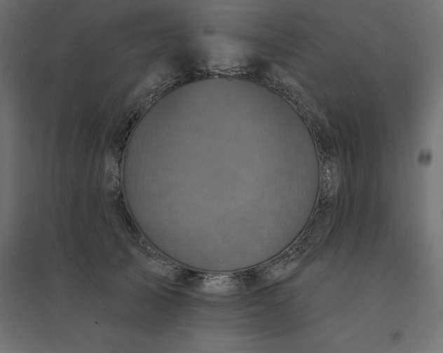 X0000094440705200711211456