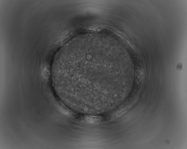 X0000094440707200711211456