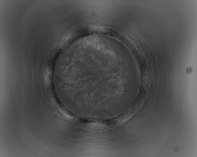 X0000094440708200711211456