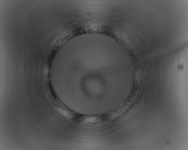 X0000094440709200711211456