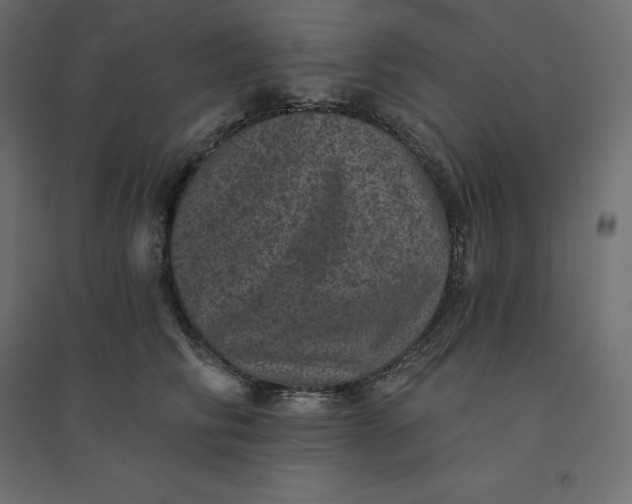 X0000094440710200711211456