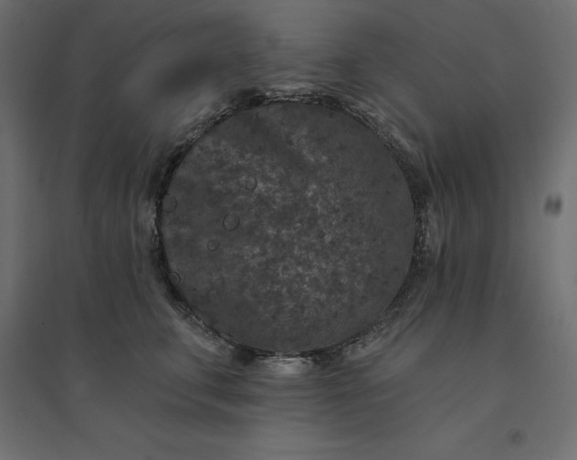 X0000094440711200711211456