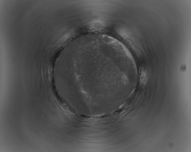 X0000094440712200711211456