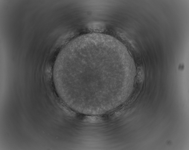 X0000094440713200711211456