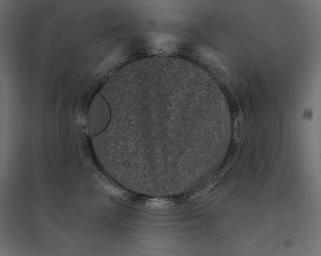 X0000094440714200711211456