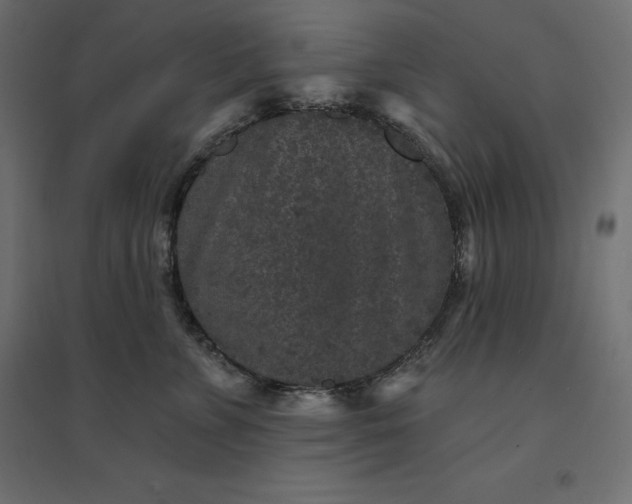 X0000094440715200711211456