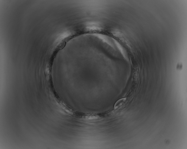 X0000094440716200711211456