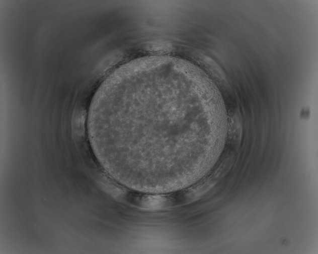 X0000094440717200711211456