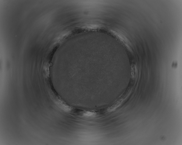 X0000094440718200711211456