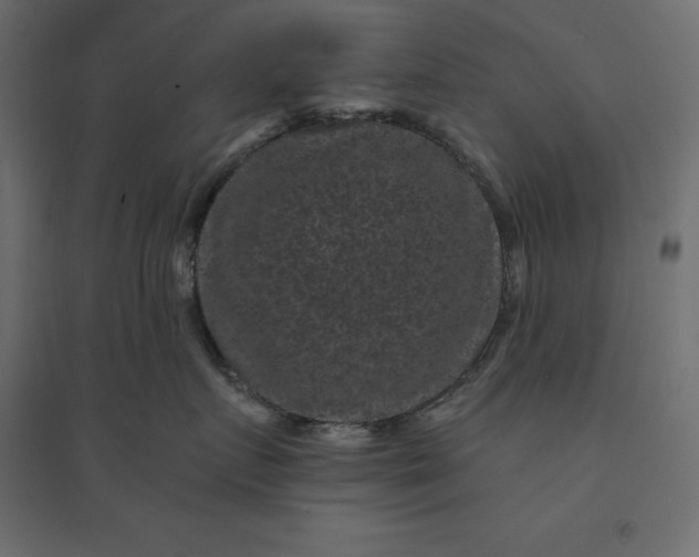 X0000094440719200711211456