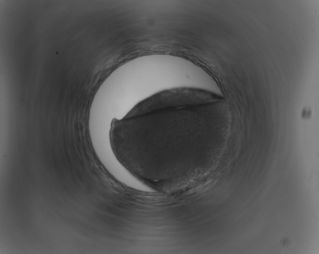 X0000094440720200711211456