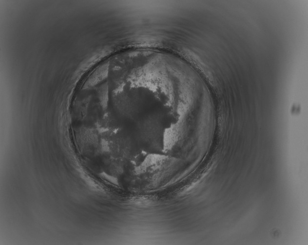 X0000094440721200711211455